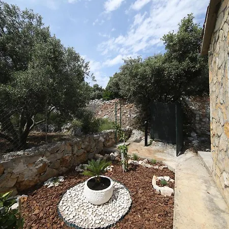 House Olive Tree بيت للعطل *