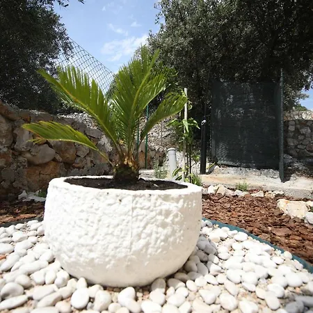 House Olive Tree Nyaraló Tkon