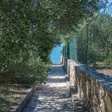 Nyaraló House Olive Tree